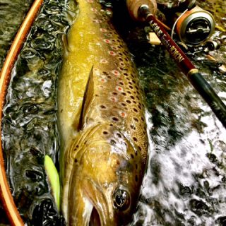 秋の小渓流釣行に行ってきました！