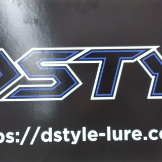 【新商品】ＤＳＴＹＬＥ　ワーム　入荷！