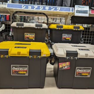 リングスター　ドカットD-4700限定カラー入荷！