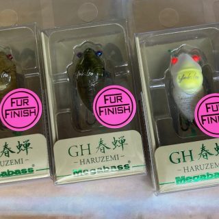 メガバス【GH春蝉】入荷!!