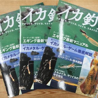 【　イカ釣り 北海道　新入荷！　】