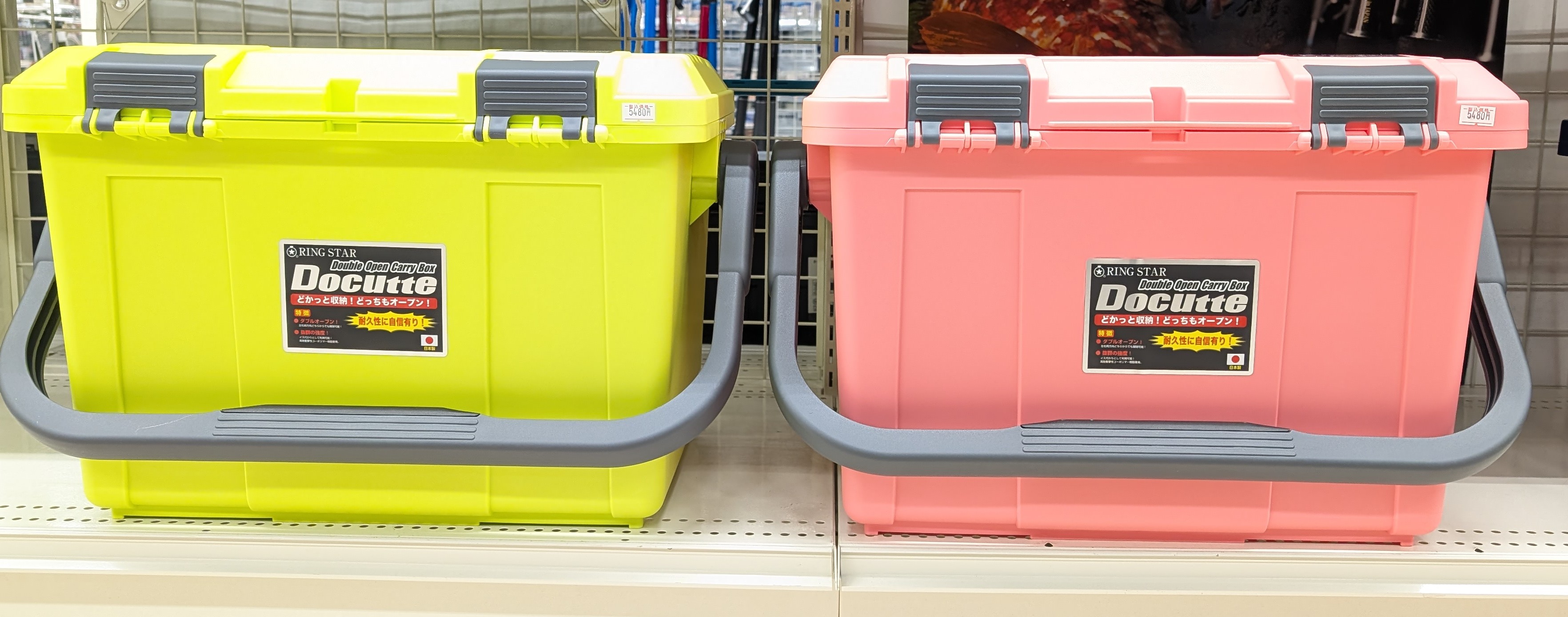 PXL_20241128_014607688.RAW-01.