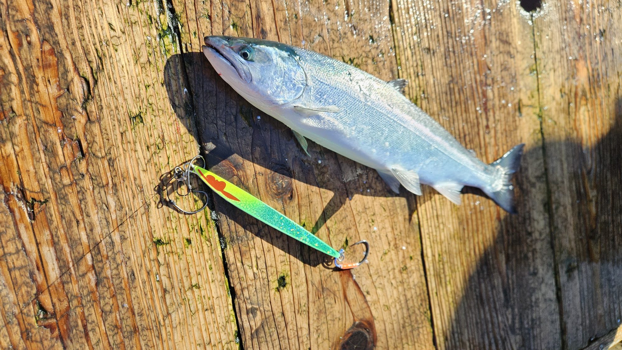 ルアーズケミストロッド ジグセット （ルアーズケミスト(Lures