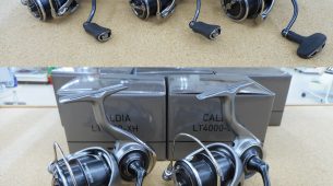 【ダイワ　25カルディア】入荷しました