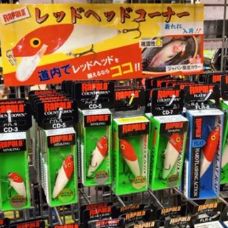 ラパラ　レッドヘット　新たに入荷
