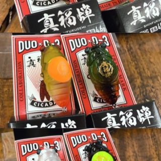 DUO×Ｄ3　コラボ　真福蝉　入荷