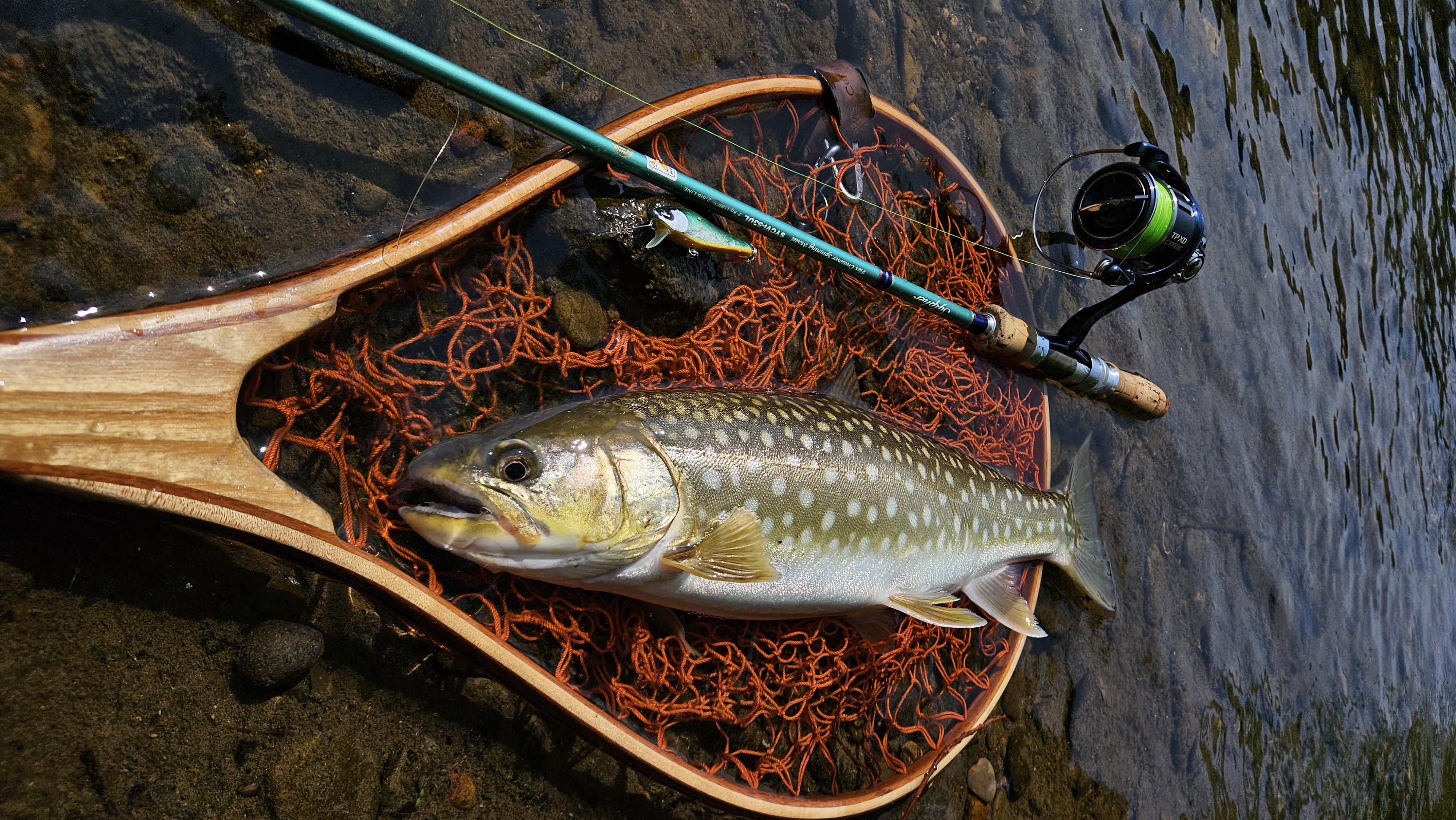 6/1ヤマメ解禁釣行 - つり具センター | 釣り具の大型専門店