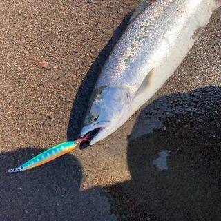 6/18.19 屈斜路湖と海サクラ釣行
