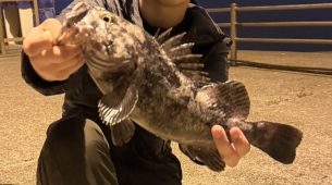 釧路ナイトロック釣行！