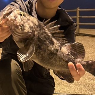 釧路ナイトロック釣行！