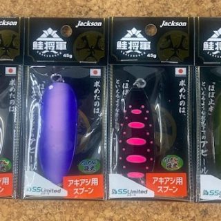 ジャクソン『鮭将軍』SSL入荷!!