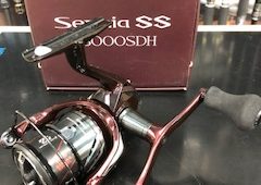 セフィアSS　C3000SDH入荷