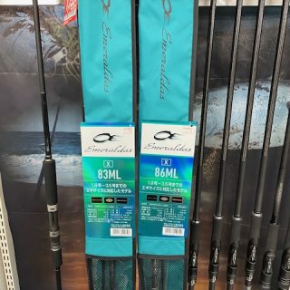 エメラルダス X入荷