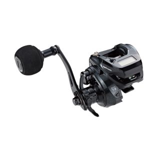 ヴィレイヤー DGのご紹介