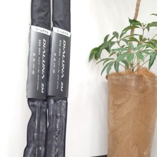 【ディアルーナ ZM】入荷！