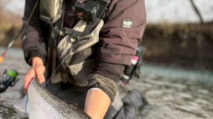 12/15本流トラウト釣り