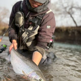 12/15本流トラウト釣り