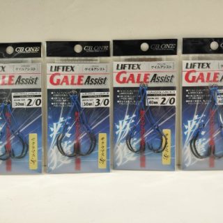 【 LIFTEX GALE Assist 入荷 】