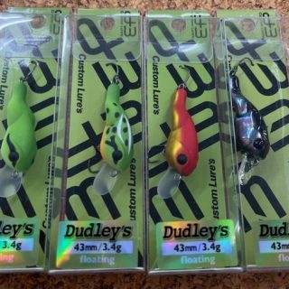 D3カスタムルアーズ ｢ダッドリーズ｣入荷!!