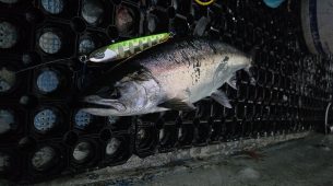 一週間後の18日（日）サミーズ展示即売会開催！