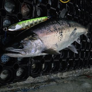 一週間後の18日(日)サミーズ展示即売会開催!