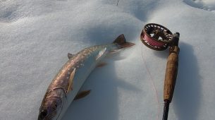 1/8 湿原河川ルースニング