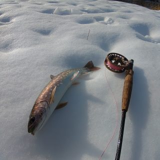 1/8 湿原河川ルースニング