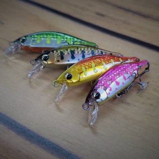 【NEW】ダイワ シルバークリークミノーTG50S