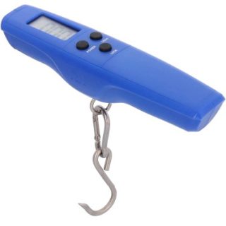 デジタルスケール 35　入荷