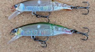 【ジャクソン　メテオーラ ジョイント49S】入荷しました