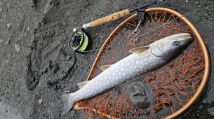 【3/6～7】道央トラウト釣行