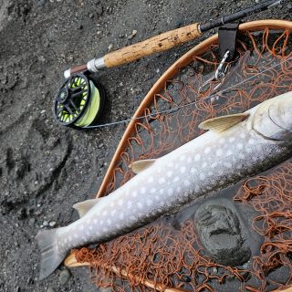 【3/6~7】道央トラウト釣行