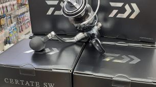 ダイワ　26セルテートＳＷシリーズ　入荷！！