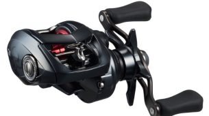 タトゥーラ BF TW　8.1Ｌ入荷