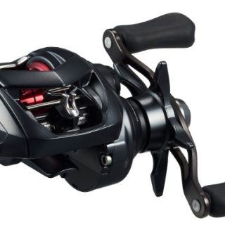 タトゥーラ BF TW 8.1L入荷